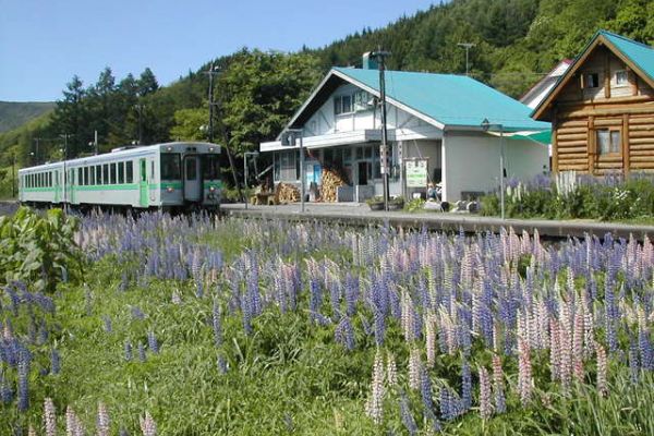 Eki No Yado Hirafu (Niseko-cho)